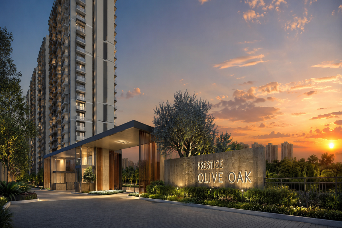 Prestige Olive Oak